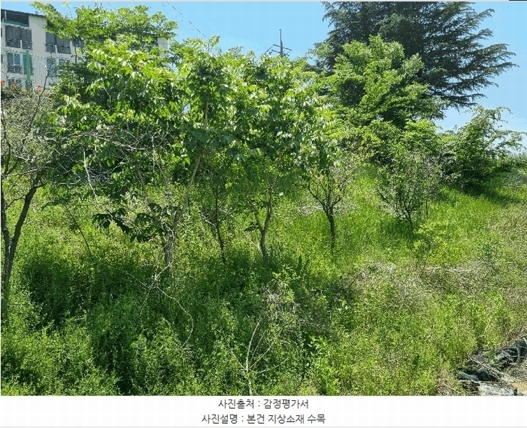 2025타경785 경상북도 영천시 화룡동 287-7 농지 경매 이미지