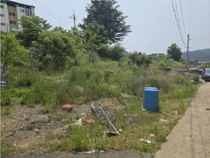 2025타경785 경상북도 영천시 화룡동 287-7 농지 경매 이미지