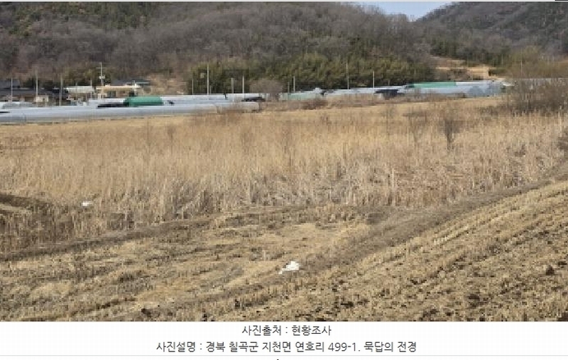 2025타경5698 경상북도 칠곡군 지천면 연호리 499-1 농지 경매 이미지