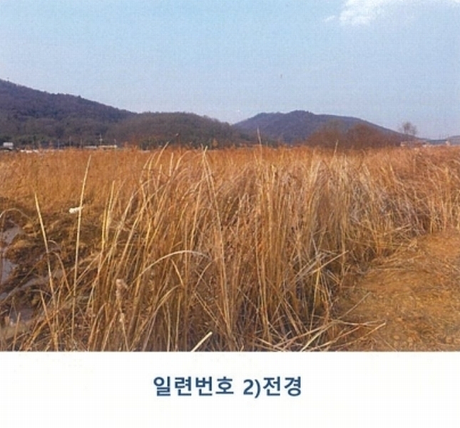 2025타경5698 경상북도 칠곡군 지천면 연호리 499-1 농지 경매 이미지
