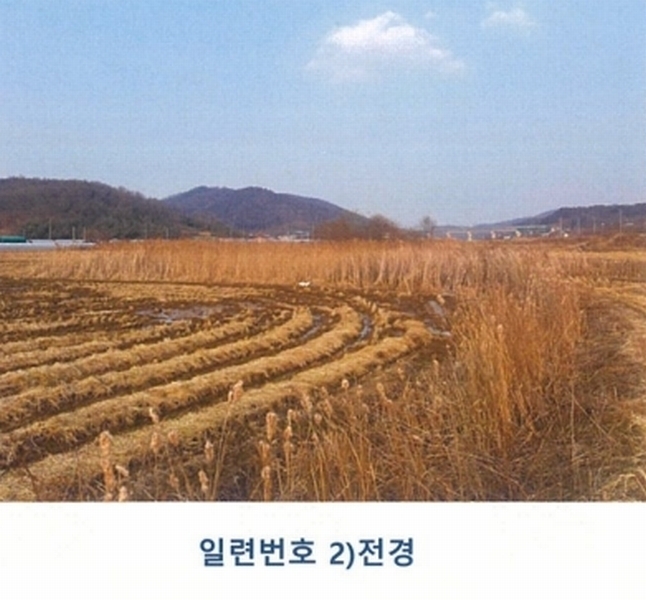 2025타경5698 경상북도 칠곡군 지천면 연호리 499-1 농지 경매 이미지