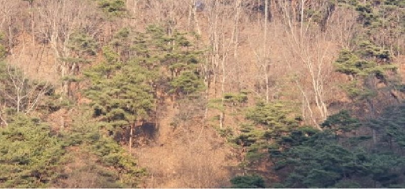 2025타경6219 경상북도 경산시 남천면 산전리 산150 임야 경매 이미지