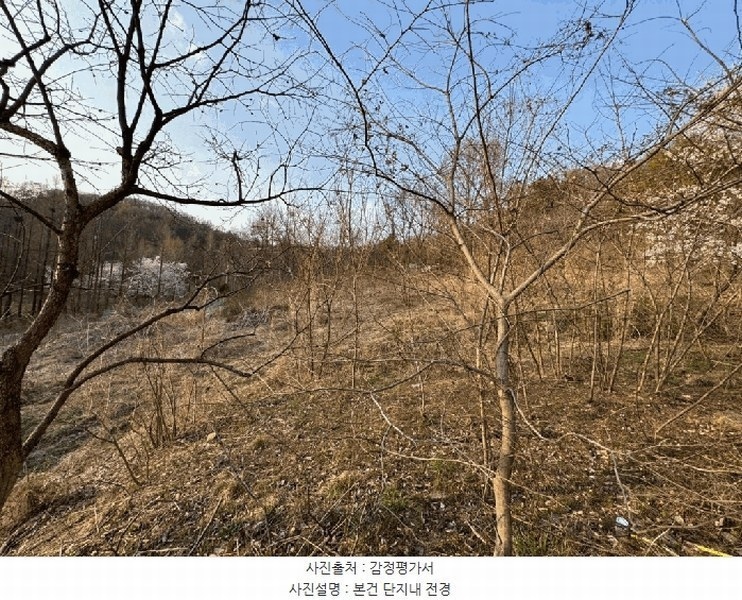 2025타경7293 경상북도 경산시 하양읍 도리리 산4 임야 경매 이미지