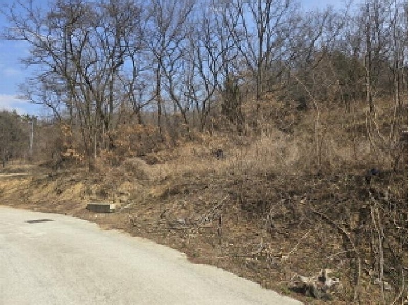 2025타경7293 경상북도 경산시 하양읍 도리리 산4 임야 경매 이미지
