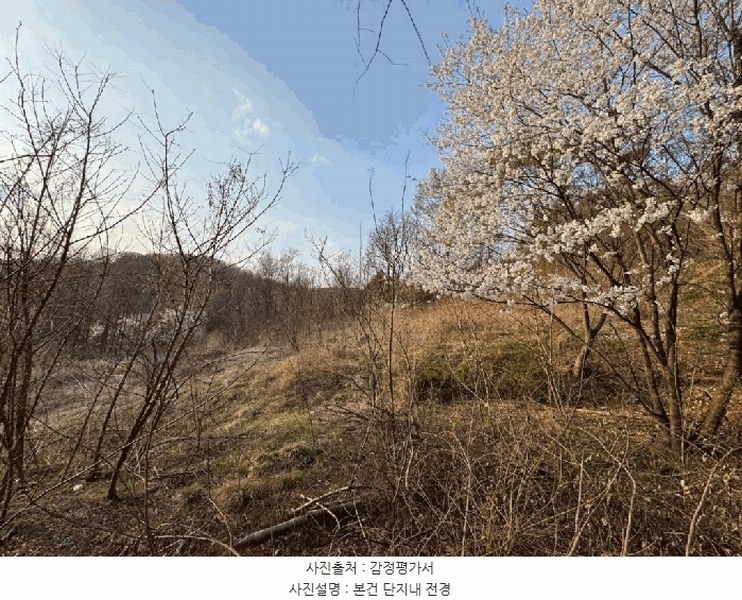 2025타경7293 경상북도 경산시 하양읍 도리리 산4 임야 경매 이미지