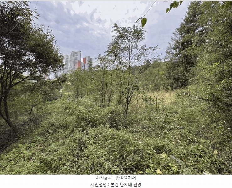 2025타경7293 경상북도 경산시 하양읍 도리리 산4 임야 경매 이미지