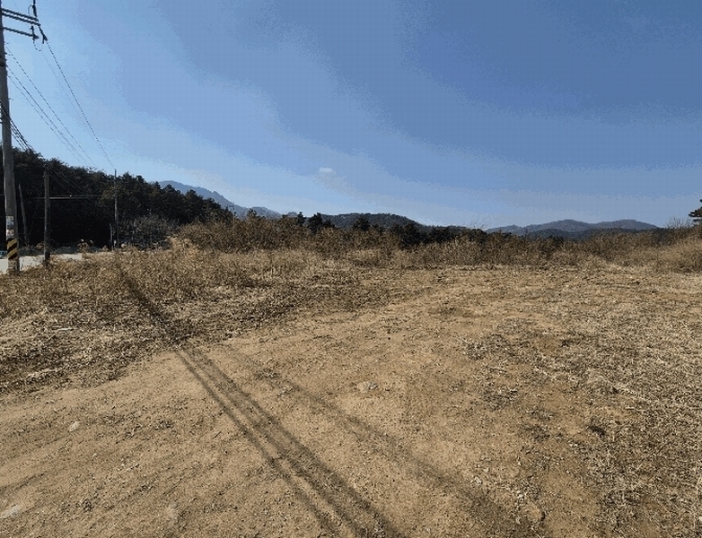 2025타경7565 경상북도 칠곡군 가산면 응추리 252 농지 경매 이미지