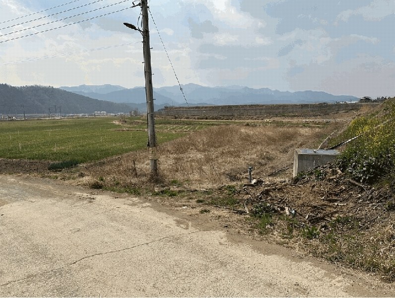 2025타경7697 경상북도 영천시 화산면 대안리 374 농지 경매 이미지