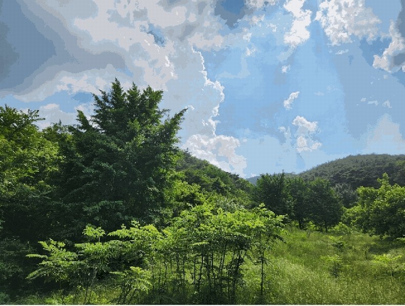2025타경8101 대구광역시 동구 중대동 산46 임야 경매 이미지