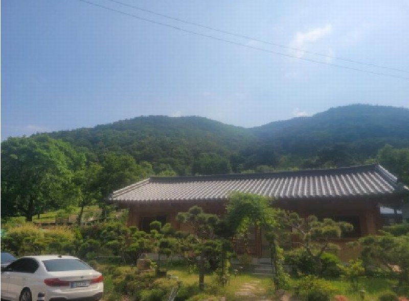 2025타경8101 대구광역시 동구 중대동 산46 임야 경매 이미지