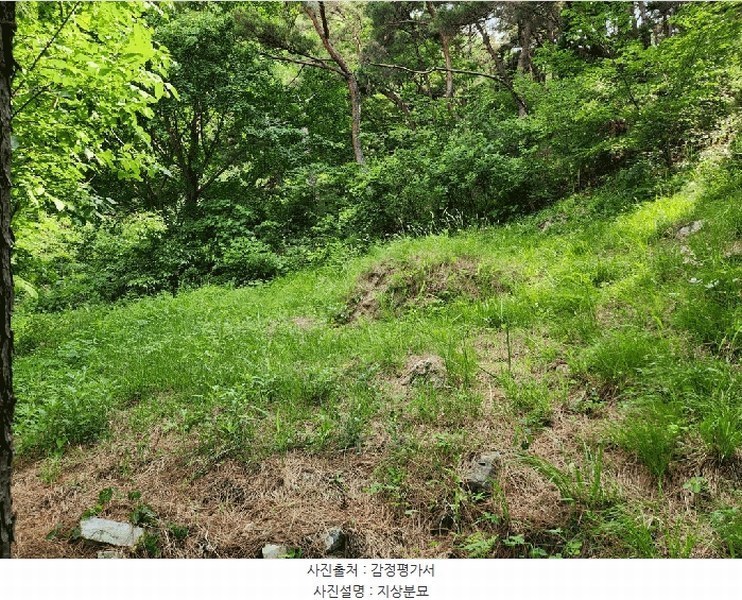 2025타경8101 대구광역시 동구 중대동 산46 임야 경매 이미지