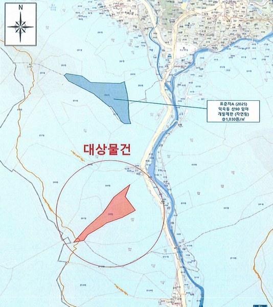 2025타경8101 대구광역시 동구 중대동 산46 임야 경매 이미지