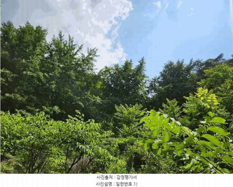 2025타경8101 대구광역시 동구 중대동 산46 임야 경매 이미지
