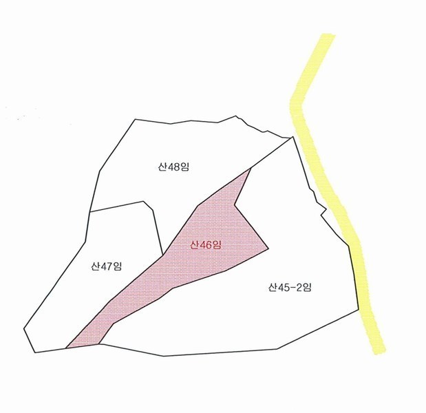 2025타경8101 대구광역시 동구 중대동 산46 임야 경매 이미지