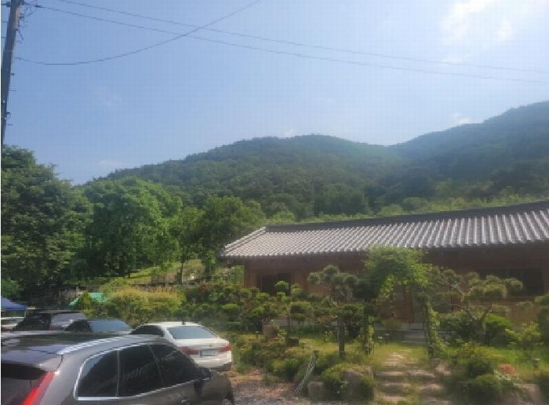 2025타경8101 대구광역시 동구 중대동 산46 임야 경매 이미지
