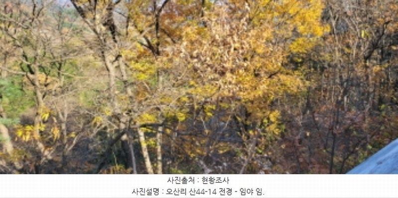 2024타경9099 경상북도 청도군 각북면 오산리 1175-3 임야 경매 이미지