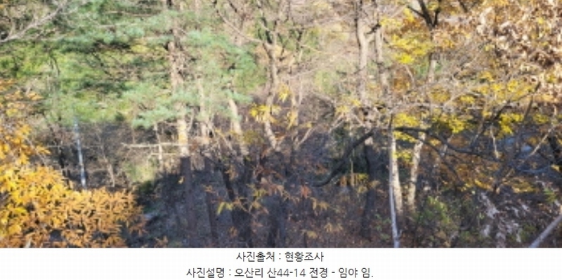 2024타경9099 경상북도 청도군 각북면 오산리 1175-3 임야 경매 이미지