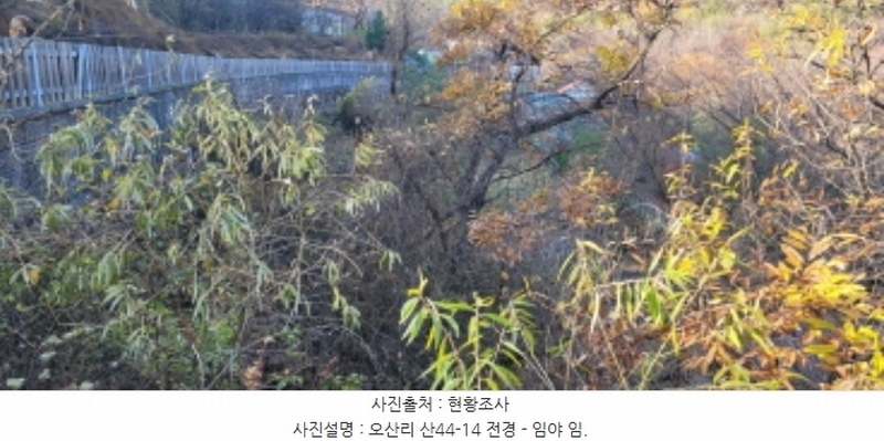 2024타경9099 경상북도 청도군 각북면 오산리 1175-3 임야 경매 이미지