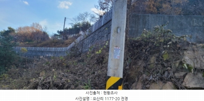 2024타경9099 경상북도 청도군 각북면 오산리 1175-3 임야 경매 이미지