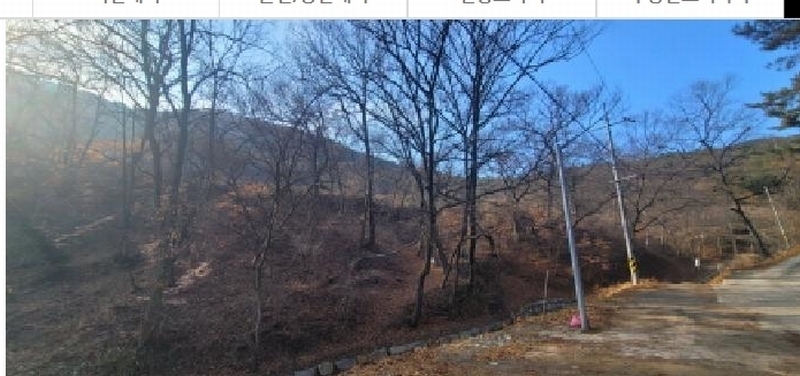 2024타경11436 대구광역시 동구 도동 산207 임야 경매 이미지