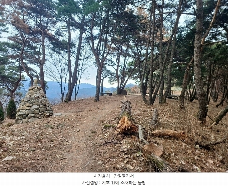 2024타경11436 대구광역시 동구 도동 산207 임야 경매 이미지