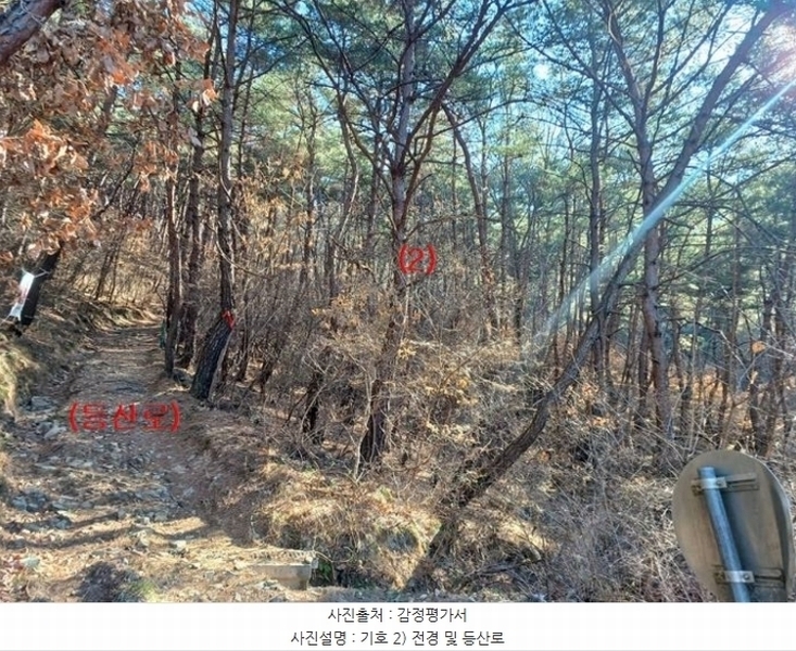 2024타경11436 대구광역시 동구 도동 산207 임야 경매 이미지