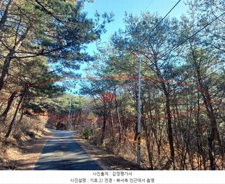 2024타경11436 대구광역시 동구 도동 산207 임야 경매 이미지