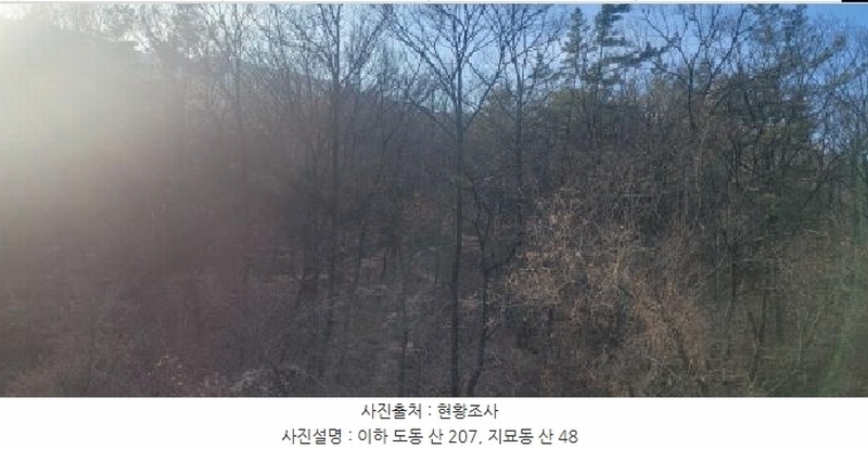 2024타경11436 대구광역시 동구 도동 산207 임야 경매 이미지