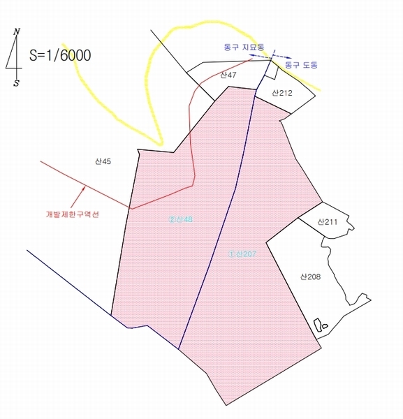 2024타경11436 대구광역시 동구 도동 산207 임야 경매 이미지