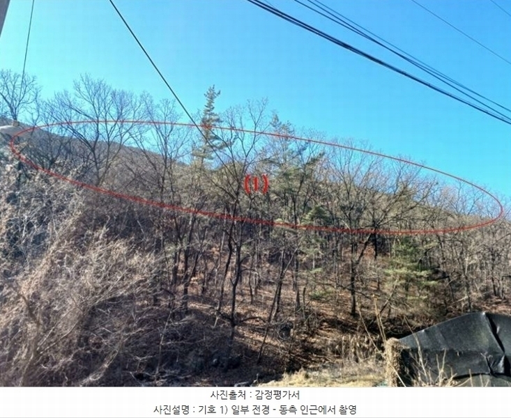 2024타경11436 대구광역시 동구 도동 산207 임야 경매 이미지