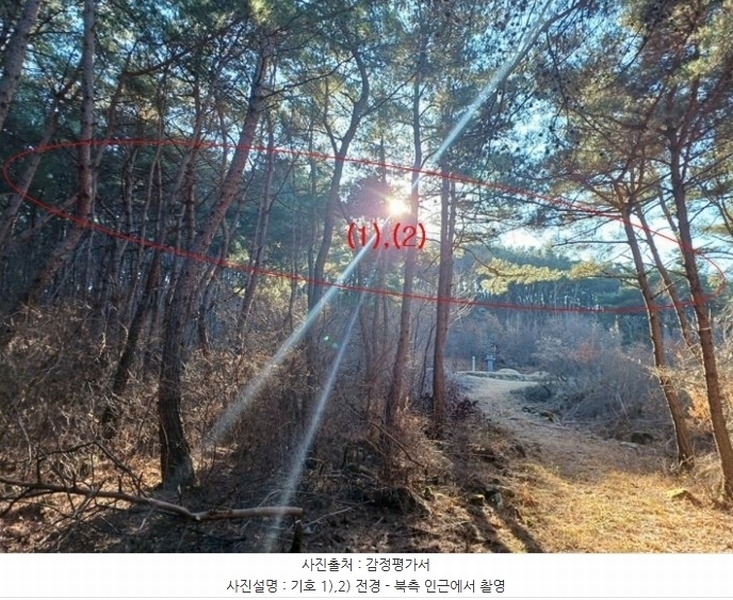 2024타경11436 대구광역시 동구 도동 산207 임야 경매 이미지
