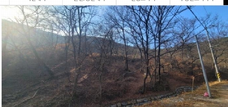 2024타경11436 대구광역시 동구 도동 산207 임야 경매 이미지