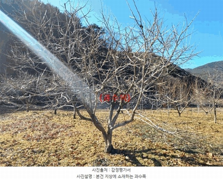 2025타경297 경상북도 청도군 이서면 신촌리 234 농지 경매 이미지