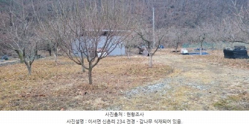 2025타경297 경상북도 청도군 이서면 신촌리 234 농지 경매 이미지