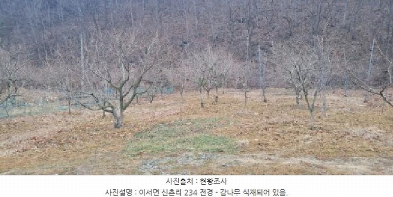 2025타경297 경상북도 청도군 이서면 신촌리 234 농지 경매 이미지