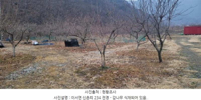 2025타경297 경상북도 청도군 이서면 신촌리 234 농지 경매 이미지