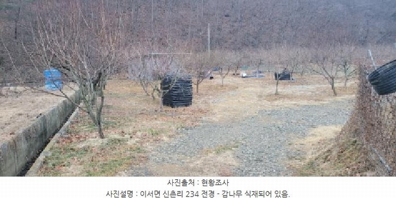 2025타경297 경상북도 청도군 이서면 신촌리 234 농지 경매 이미지