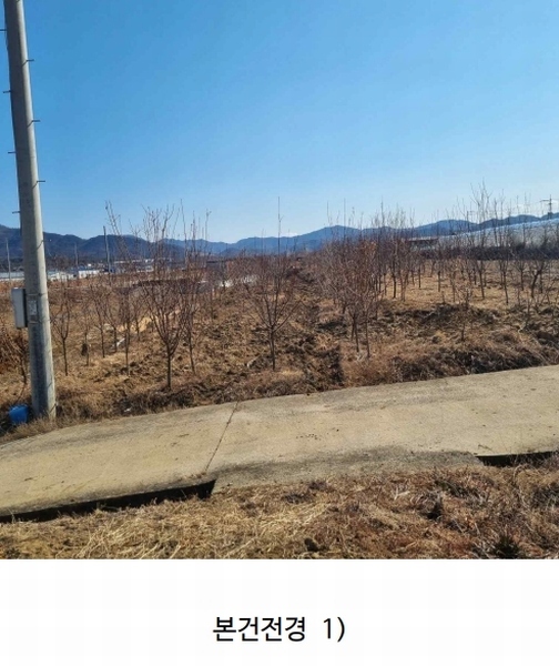 2025타경6738 경상북도 영천시 대창면 강회리 159 농지 경매 이미지