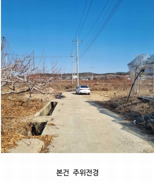 2025타경6738 경상북도 영천시 대창면 강회리 159 농지 경매 이미지