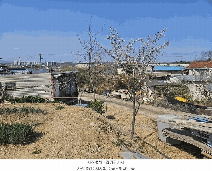 2025타경7757 경상북도 영천시 금호읍 삼호리 262-1 농가관련시설 경매 이미지