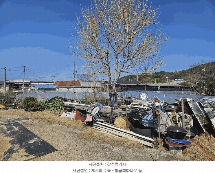 2025타경7757 경상북도 영천시 금호읍 삼호리 262-1 농가관련시설 경매 이미지