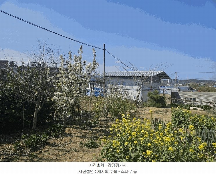 2025타경7757 경상북도 영천시 금호읍 삼호리 262-1 농가관련시설 경매 이미지