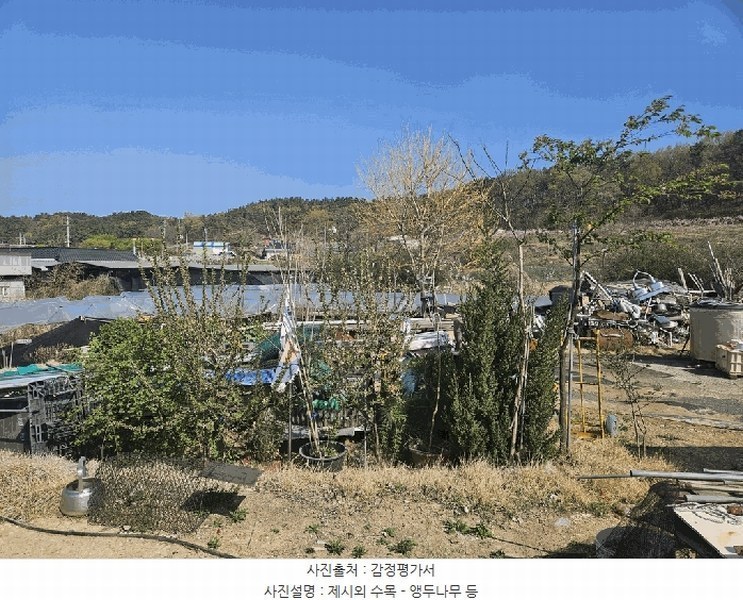 2025타경7757 경상북도 영천시 금호읍 삼호리 262-1 농가관련시설 경매 이미지