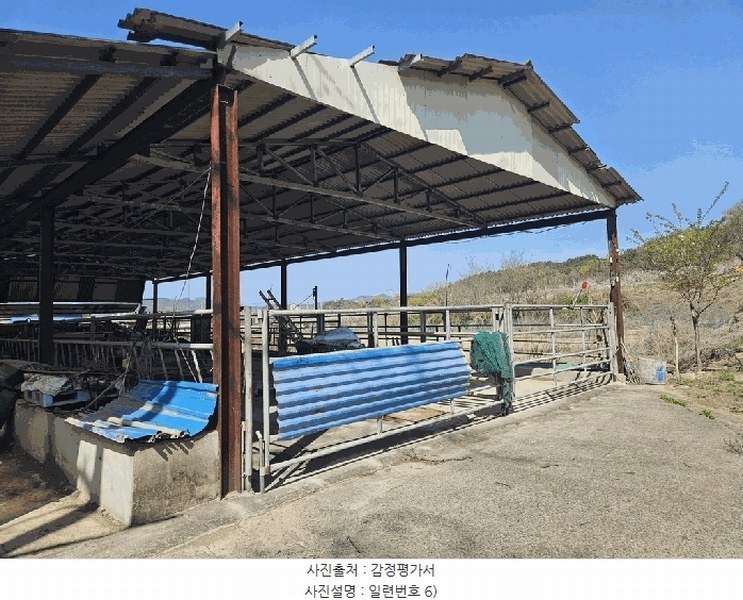 2025타경7757 경상북도 영천시 금호읍 삼호리 262-1 농가관련시설 경매 이미지