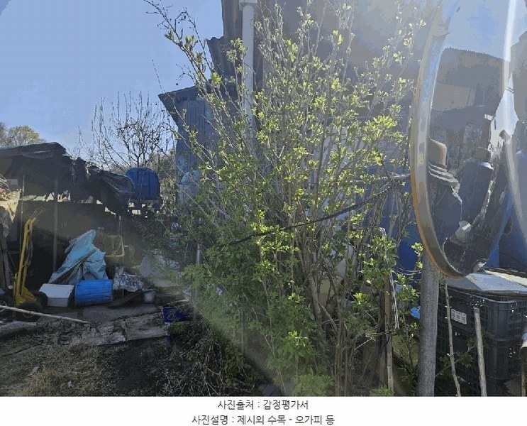 2025타경7757 경상북도 영천시 금호읍 삼호리 262-1 농가관련시설 경매 이미지
