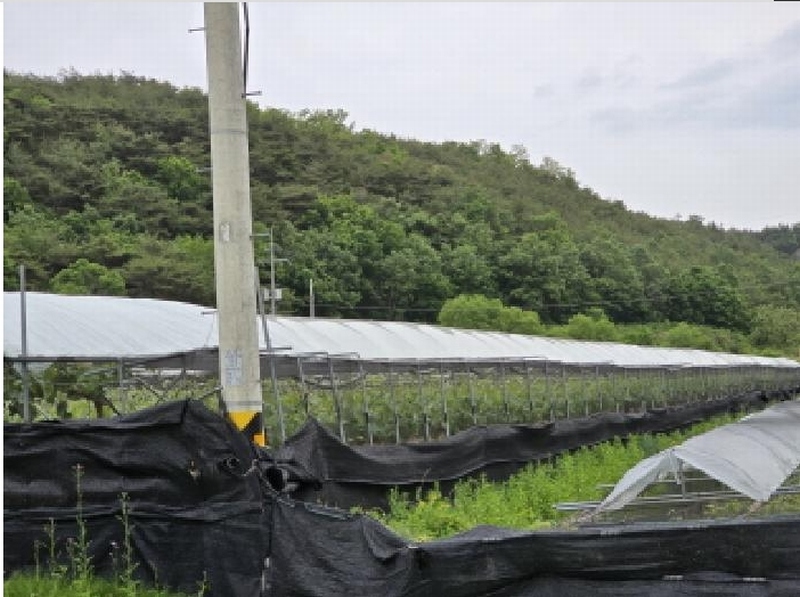 2025타경7966 경상북도 영천시 화남면 죽곡리 431 농지 경매 이미지
