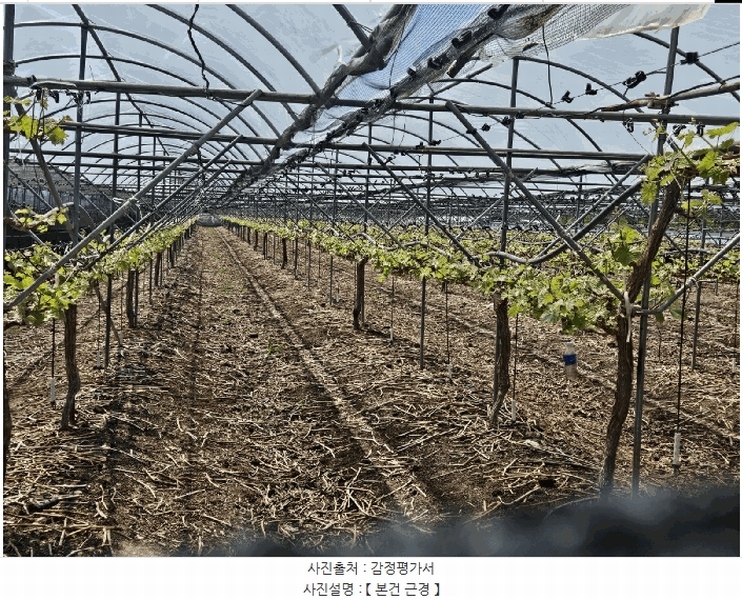 2025타경7966 경상북도 영천시 화남면 죽곡리 431 농지 경매 이미지