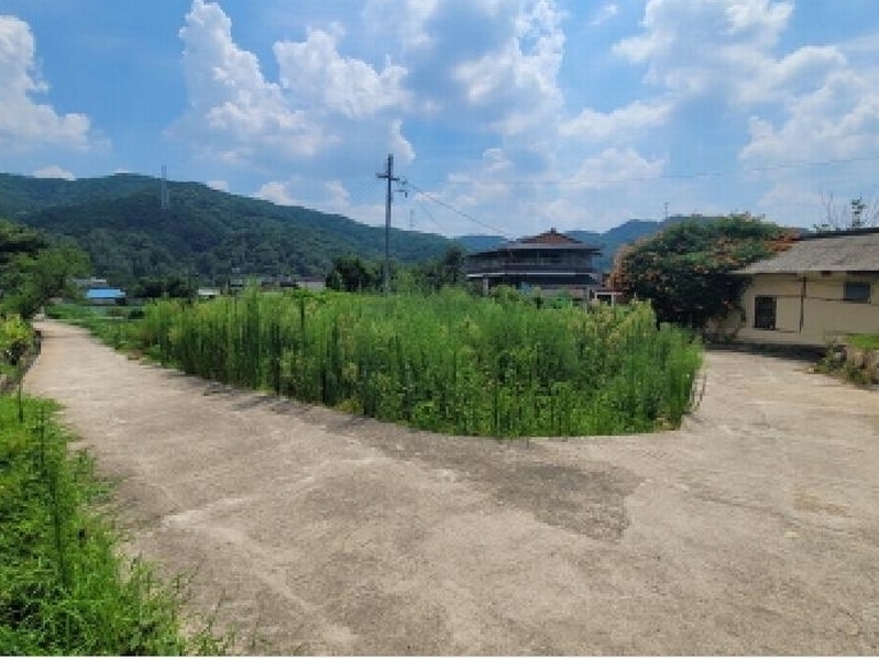 2025타경8542 대구광역시 동구 백안동 221 농지 경매 이미지