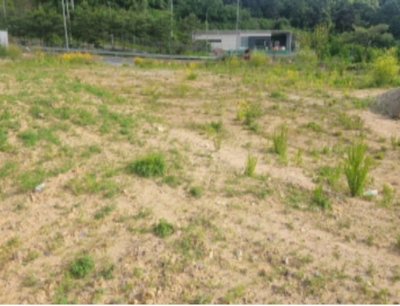 2024타경4421 경상북도 칠곡군 가산면 학산리 913-1 공장 경매 이미지