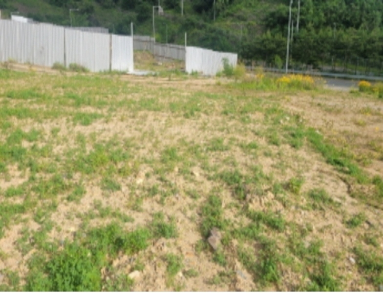 2024타경4421 경상북도 칠곡군 가산면 학산리 913-1 공장 경매 이미지